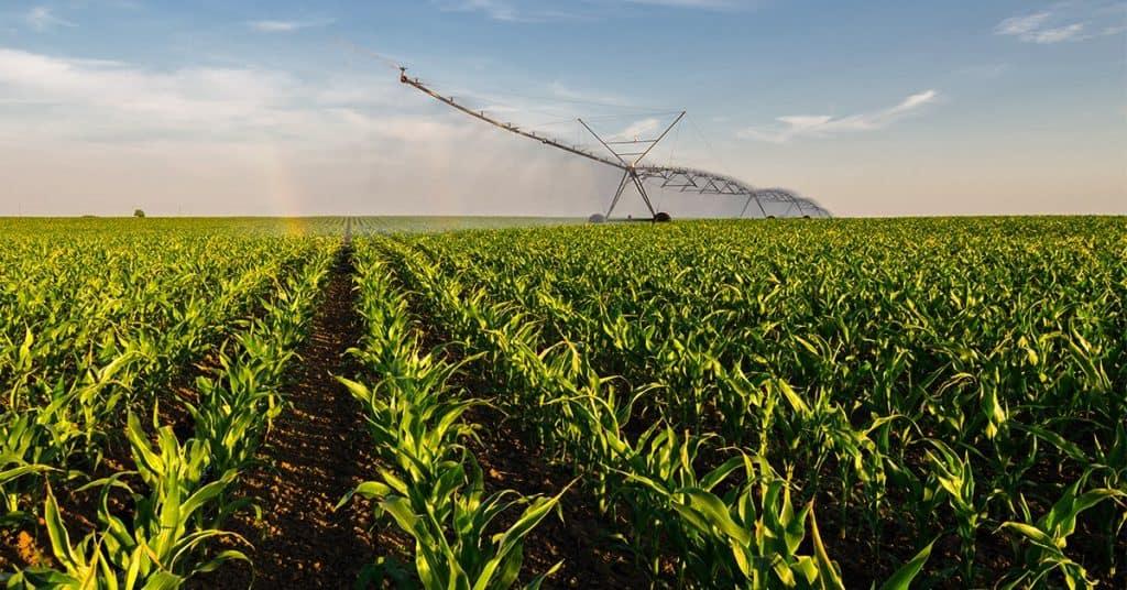 Fertirrigação eficiente: tecnologia que transforma água em produtividade